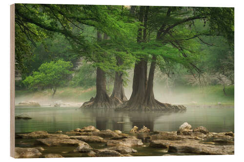 Cuadro de madera Fog at the Guadalupe River, Texas, USA