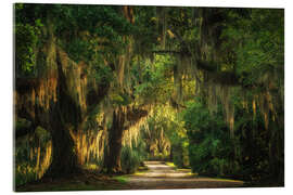 Acrylic print Jungle road - Martin Podt