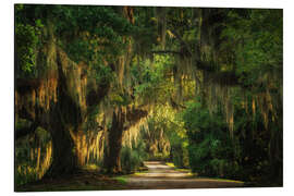 Cuadro de aluminio Jungle road - Martin Podt