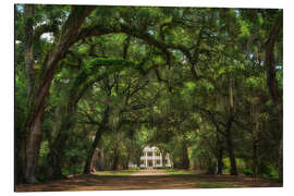 Alubild Plantagengasse in Louisiana, USA - Martin Podt