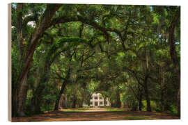 Holzbild Plantagengasse in Louisiana, USA - Martin Podt