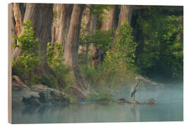 Holzbild Graureiher am Ufer eines Flusses in Texas, USA - Martin Podt