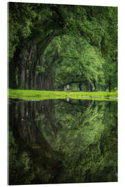 Tableau en verre acrylique New Orleans reflected - The green eye - Martin Podt