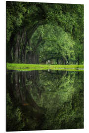 Alubild Spiegelbild New Orleans - Das grüne Auge - Martin Podt