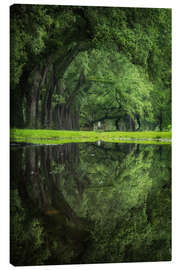 Canvas-taulu New Orleans reflected - The green eye - Martin Podt