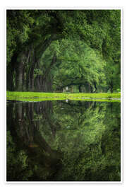 Reprodução New Orleans reflected - The green eye - Martin Podt