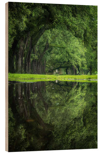 Cuadro de madera New Orleans reflected - The green eye
