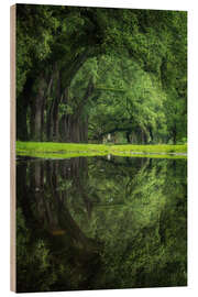 Cuadro de madera New Orleans reflected - The green eye - Martin Podt