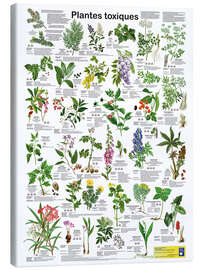 Canvas print Poisonous plants (French) - Planet Poster Editions