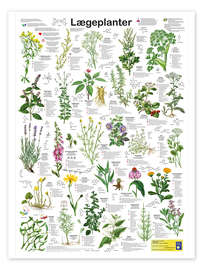 Poster Medicinal plants (Danish)