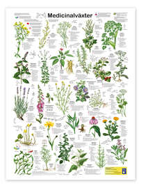 Poster Medicinal plants (Swedish)