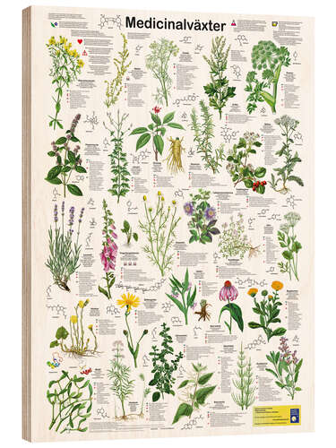 Wood print Medicinal plants (Swedish)