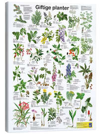 Canvas print Poisonous plants (Danish) - Planet Poster Editions