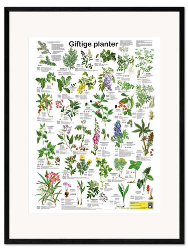 Gerahmter Kunstdruck Giftpflanzen (dänisch)