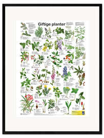 Gerahmter Kunstdruck Giftpflanzen (dänisch)