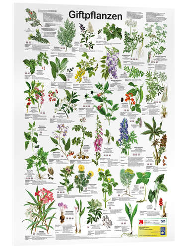 Acrylic print Poisonous plants (German)