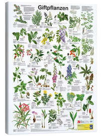 Canvas print Poisonous plants (German)