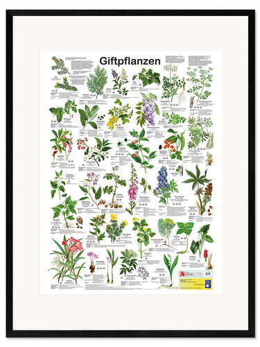Gerahmter Kunstdruck Giftpflanzen