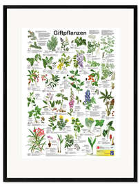 Gerahmter Kunstdruck Giftpflanzen