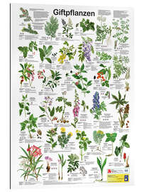 Gallery Print Giftpflanzen