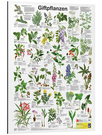 Magnettafel Giftpflanzen