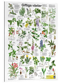 Gallery Print Giftpflanzen (schwedisch)