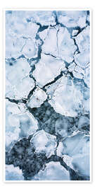 Póster Aerial photo of ice floes off Greenland - Christian Müringer