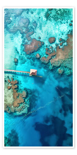 Poster Aerial view of coral reef in Zanzibar, Tanzania