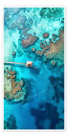 Poster Aerial view of coral reef in Zanzibar, Tanzania - Christian Müringer