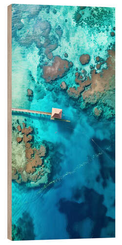 Puutaulu Aerial view of coral reef in Zanzibar, Tanzania