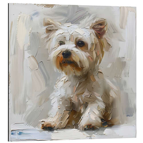 Aluminium print Cute Maltese Dog