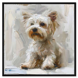 Gerahmter Kunstdruck Süßer Malteser