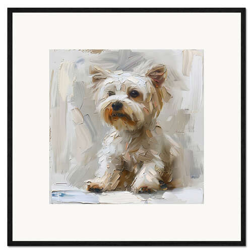 Ingelijste kunstdruk Cute Maltese Dog