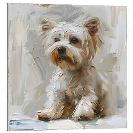 Stampa su plexi-alluminio Cute Maltese Dog