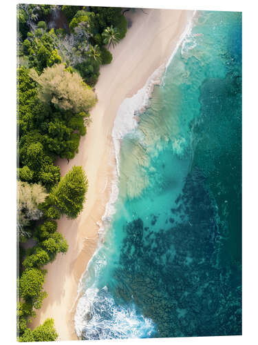 Acrylglas print Aerial view of coast and beach on Maui, Hawaii, USA