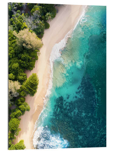 Gallery print Aerial view of coast and beach on Maui, Hawaii, USA