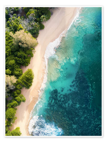 Plakat Aerial view of coast and beach on Maui, Hawaii, USA