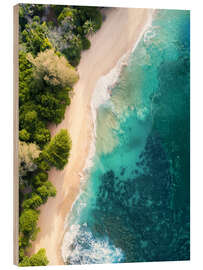 Wood print Aerial view of coast and beach on Maui, Hawaii, USA