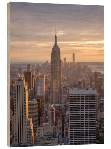 Tableau en bois Empire State Building, NYC II