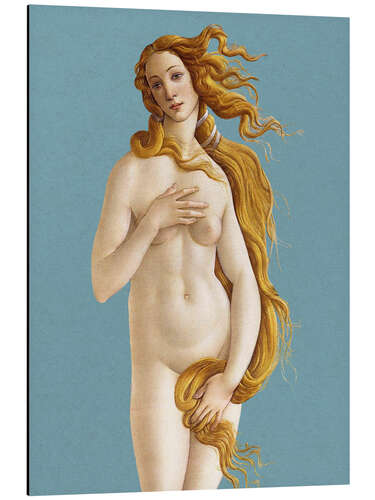 Aluminium print The Birth of Venus