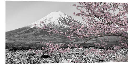 Quadro em acrílico View of Mount Fuji during cherry blossom season