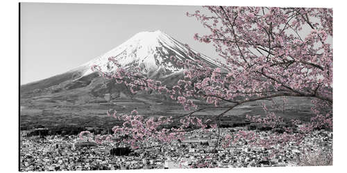 Obraz na aluminium View of Mount Fuji during cherry blossom season