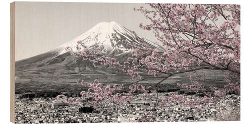 Quadro de madeira View of Mount Fuji during cherry blossom season
