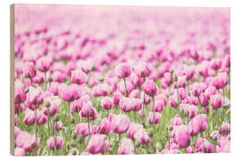 Holzbild Pink farbiges Mohnblüten Feld im Retro Look - Blütenmeer - Martina Cross