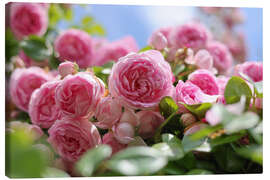 Obraz na płótnie English roses in a romantic retro look - Martina Cross