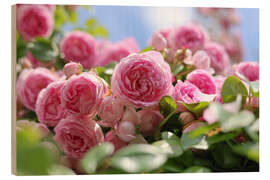 Quadro de madeira English roses in a romantic retro look - Martina Cross