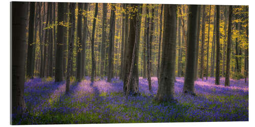 Tableau en verre acrylique In the enchanted forest