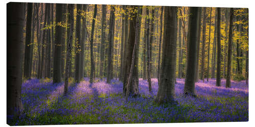 Lærredsbillede In the enchanted forest