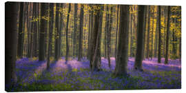 Canvas print In the enchanted forest