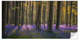 Sticker mural In the enchanted forest